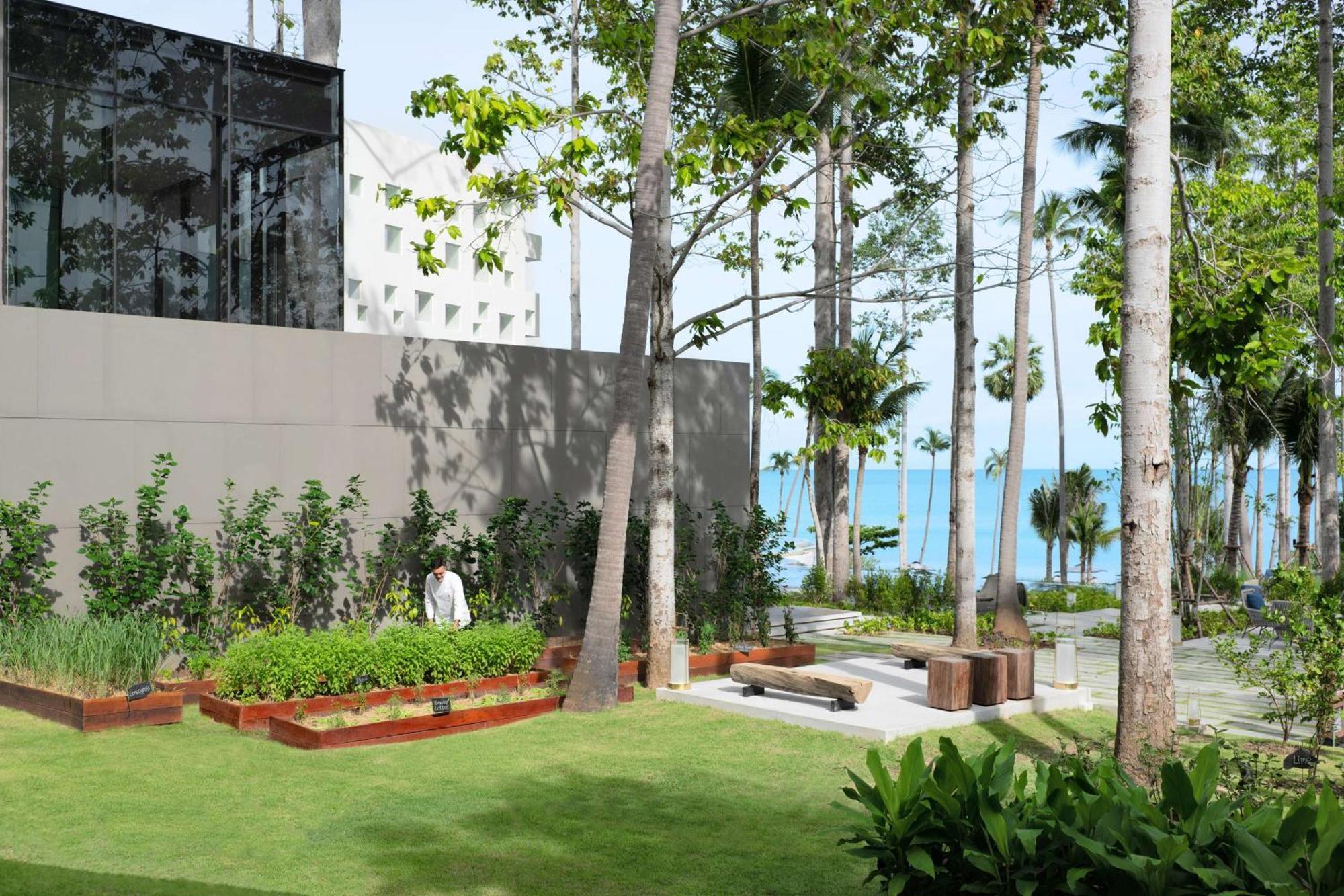 Hyatt Regency Koh Samui Ξενοδοχείο Παραλία Σαγουένγκ Εξωτερικό φωτογραφία The Gardens
