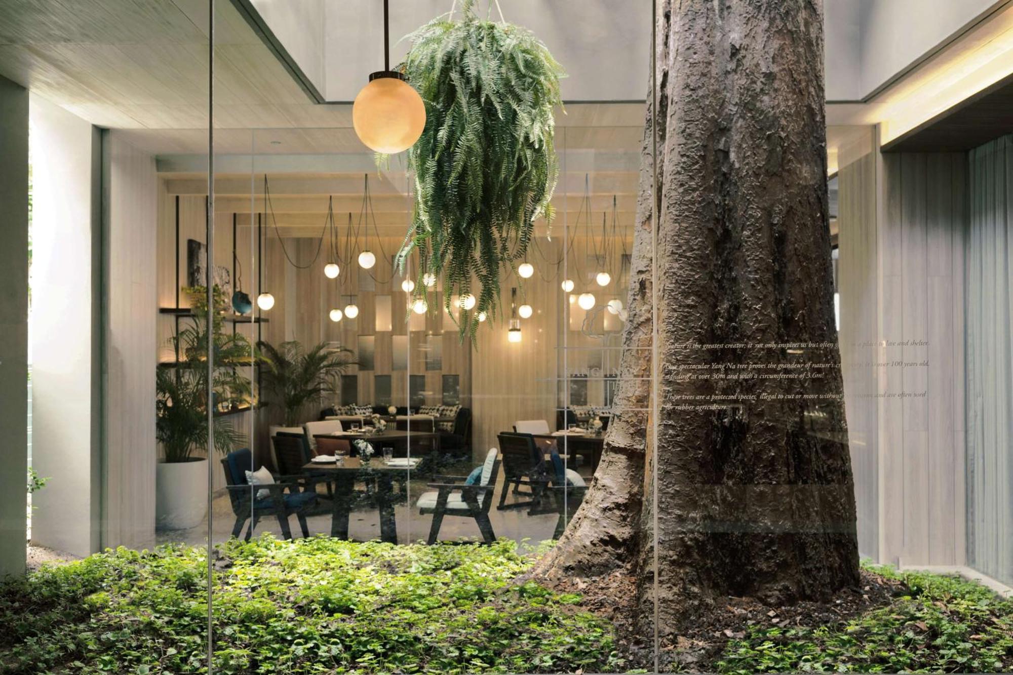 Hyatt Regency Koh Samui Ξενοδοχείο Παραλία Σαγουένγκ Εξωτερικό φωτογραφία The Treehouse